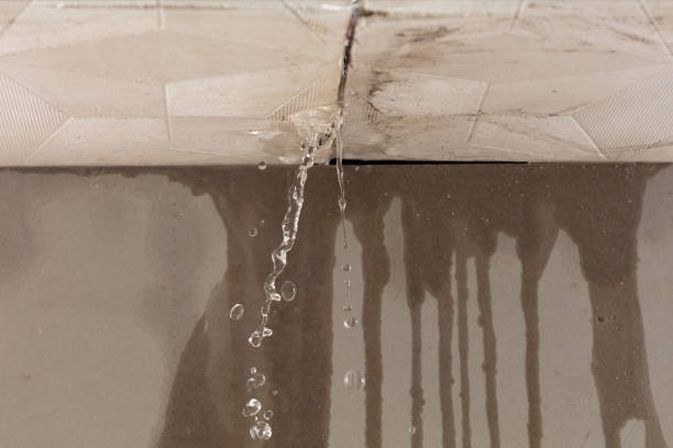 Professional Burst Pipe Cleanup technician working in Hawthorne, NV